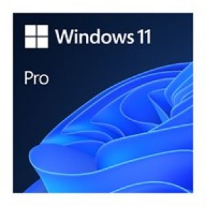 Key-online Windows 11 Pro 32bit/64bit_FPP (Vĩnh viễn; 1PC/1Mac)